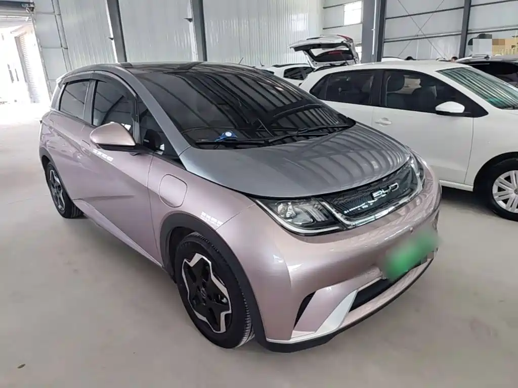 BYD Dolphin 2022