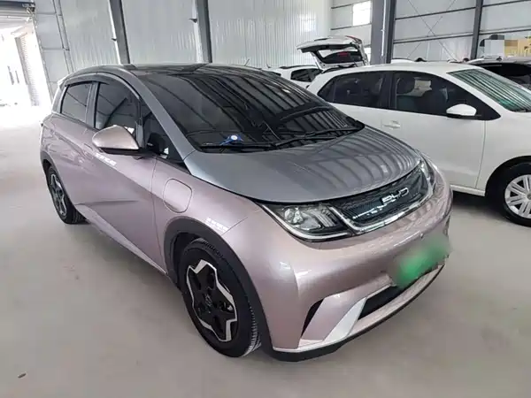 BYD Dolphin 2022