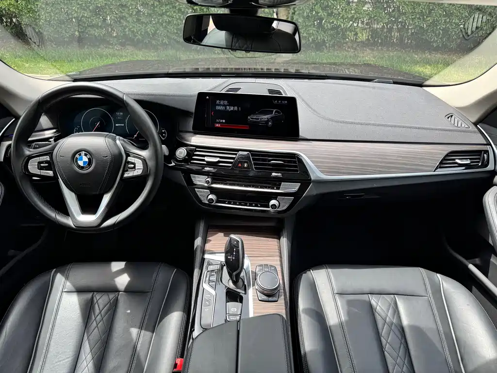 BMW 5 Series New Energy 2019 — фото 13
