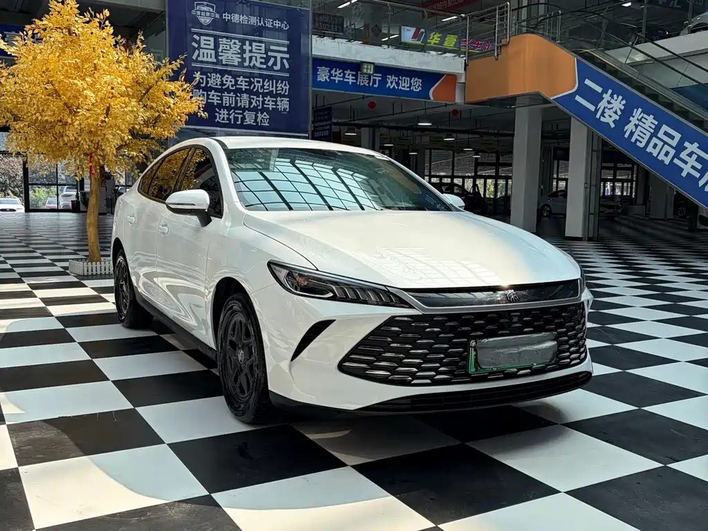 BYD Qin PLUS 2025 — фото 3