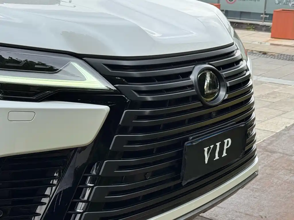 Lexus LX 2023 — фото 10