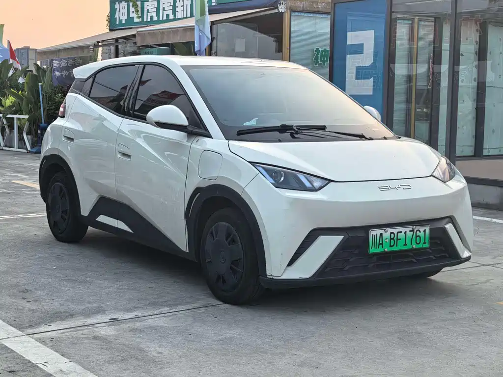 BYD Seagull 2024