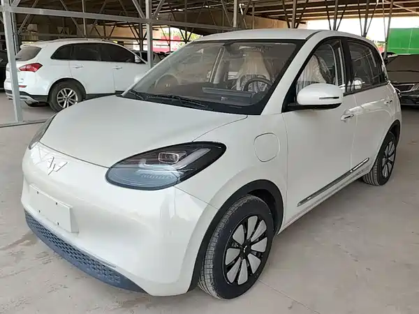 Wuling Bingo 2024