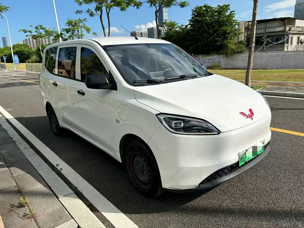 Wuling Hongguang New Energy 2024