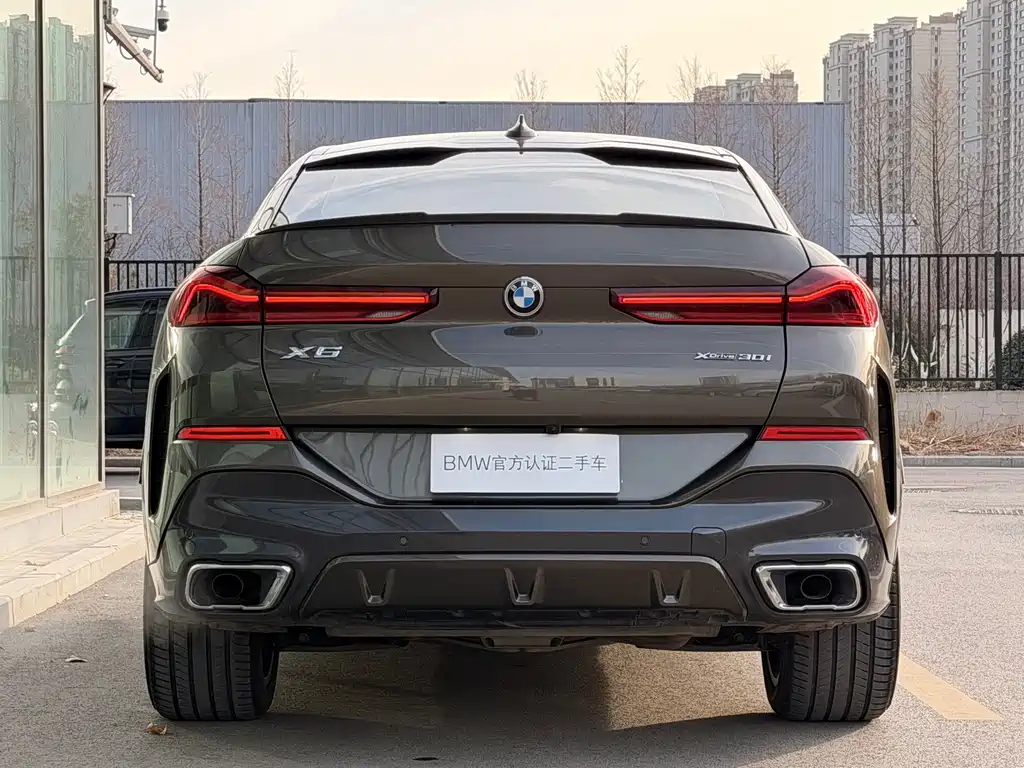 BMW X6 2020 — фото 25