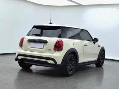 MINI MINI 2022