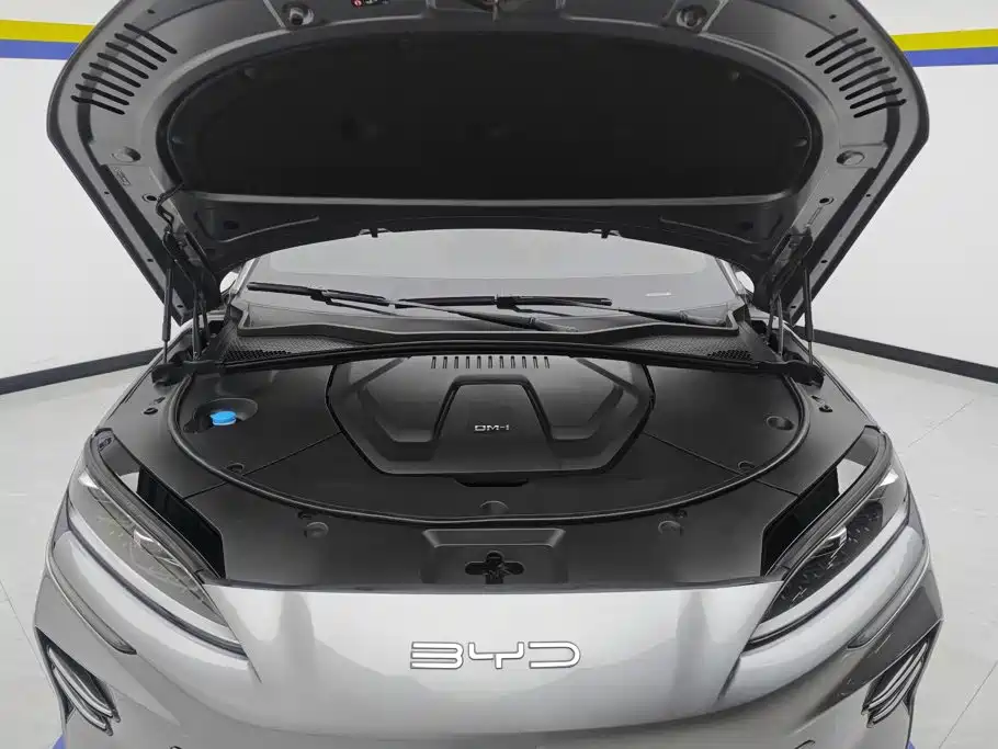 BYD Song PLUS New Energy 2024 — фото 10