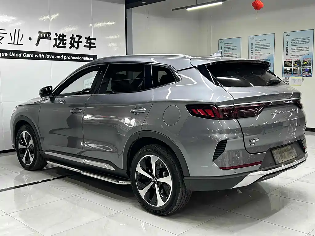 BYD PLUS New Energy 2022 — фото 6