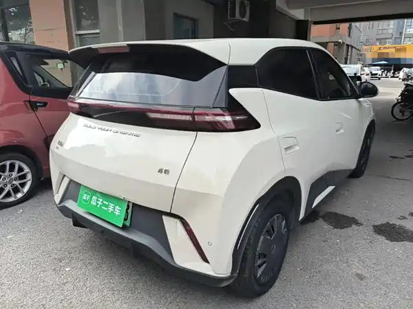 BYD Seagull 2024
