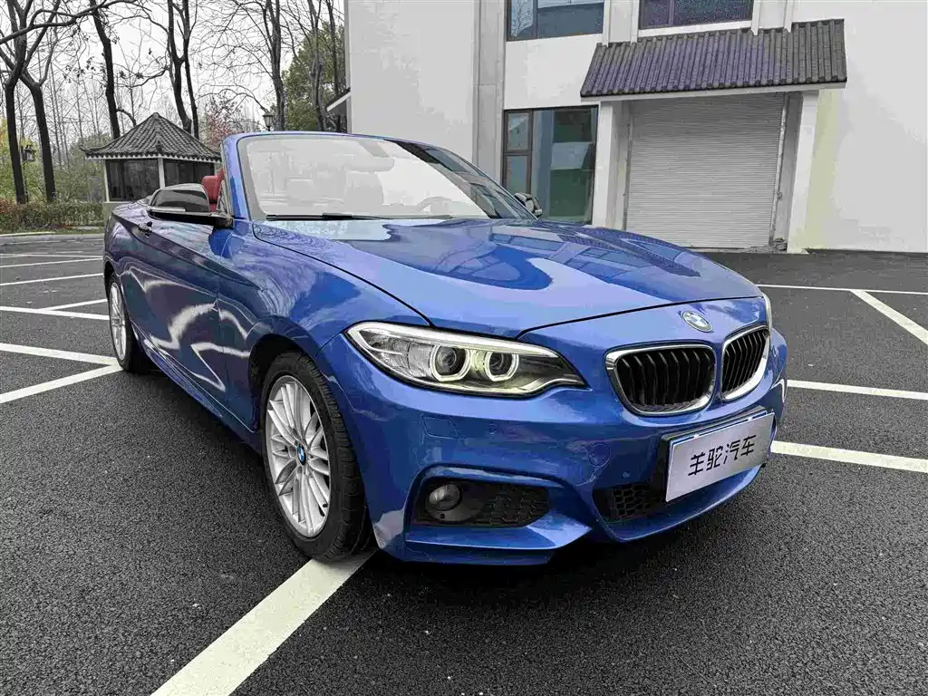 BMW 2 Series 2015 — фото 4