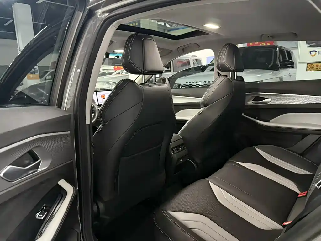 Geely Binrui 2023