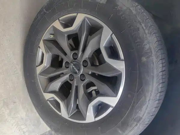 Haval Dargo 2021
