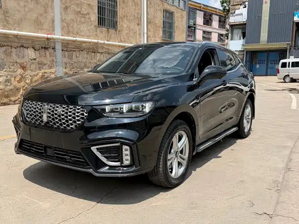Wey VV5 2021