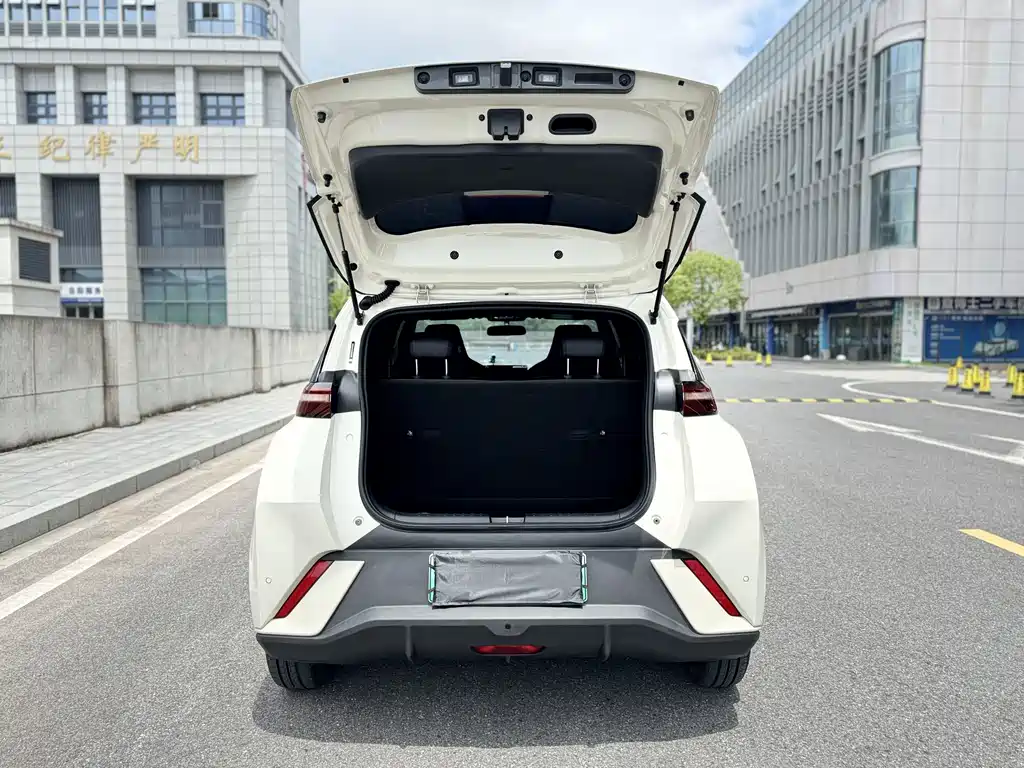BYD Seagull 2024 — фото 16