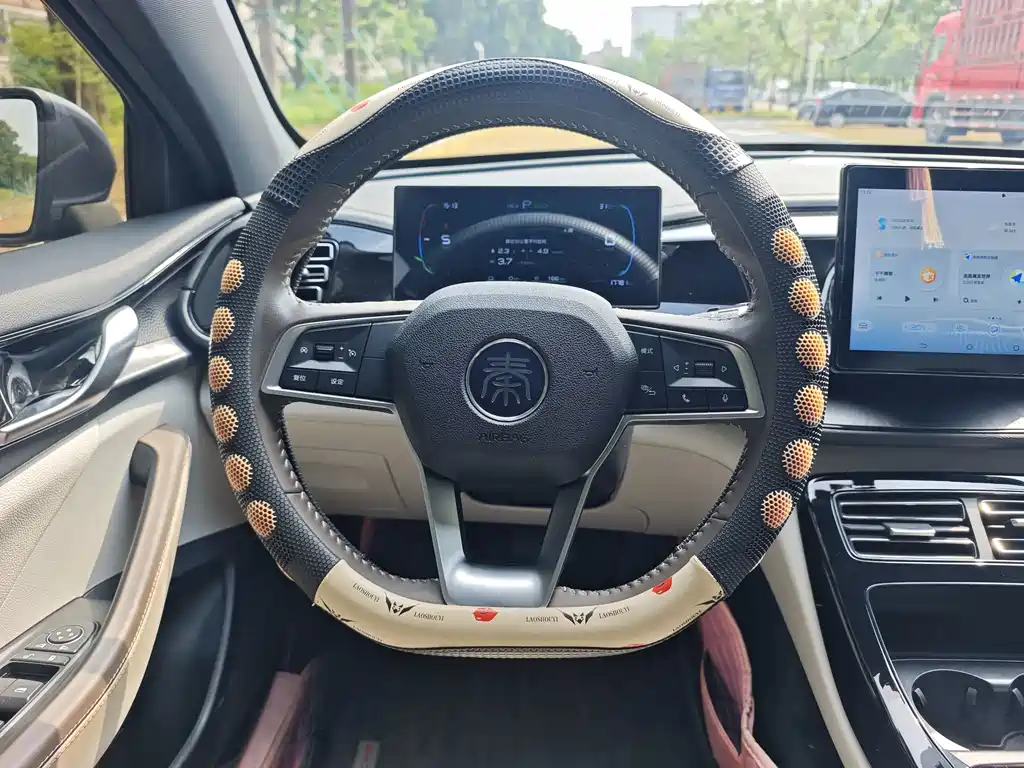 BYD Qin PLUS 2024 — фото 15
