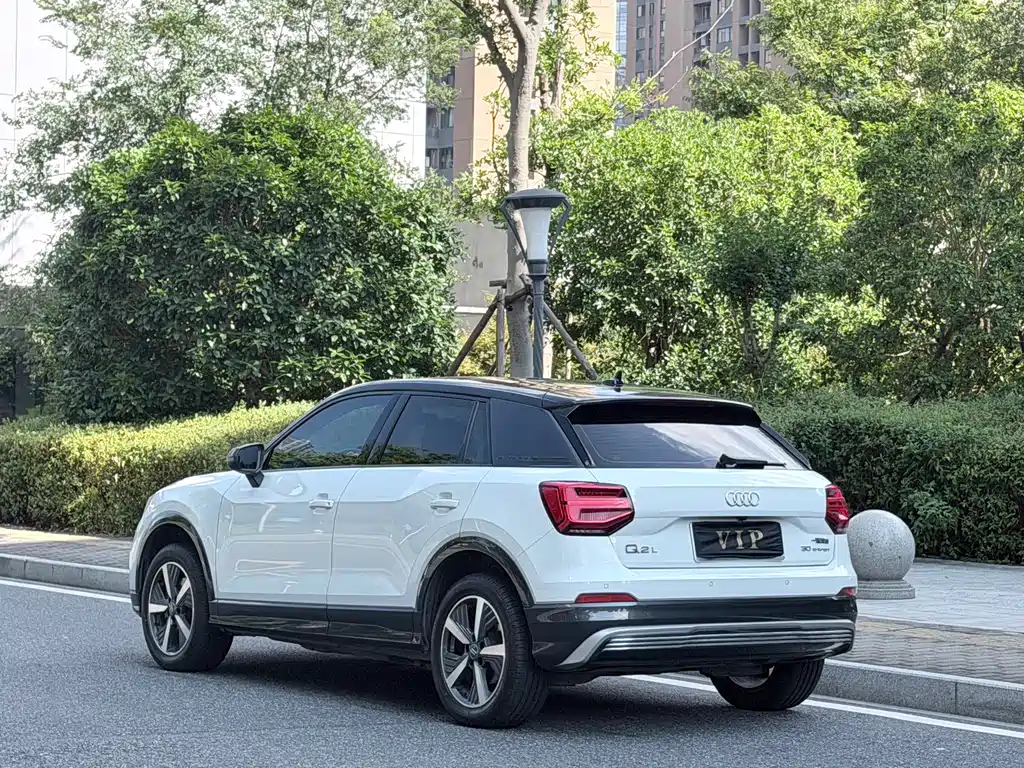Audi Q2L E-Tron 2020