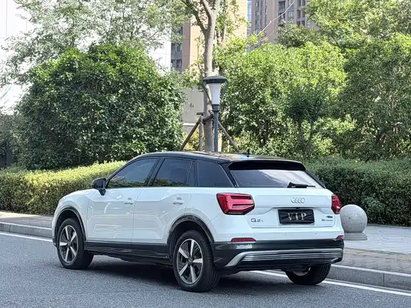 Audi Q2L E-Tron 2020