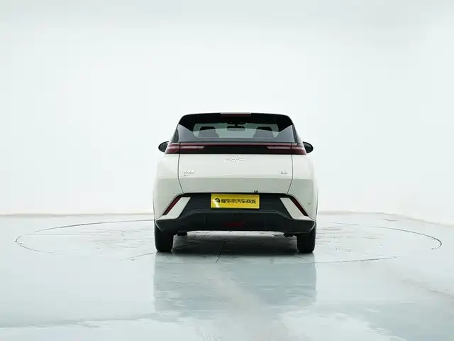 BYD Seagull 2024