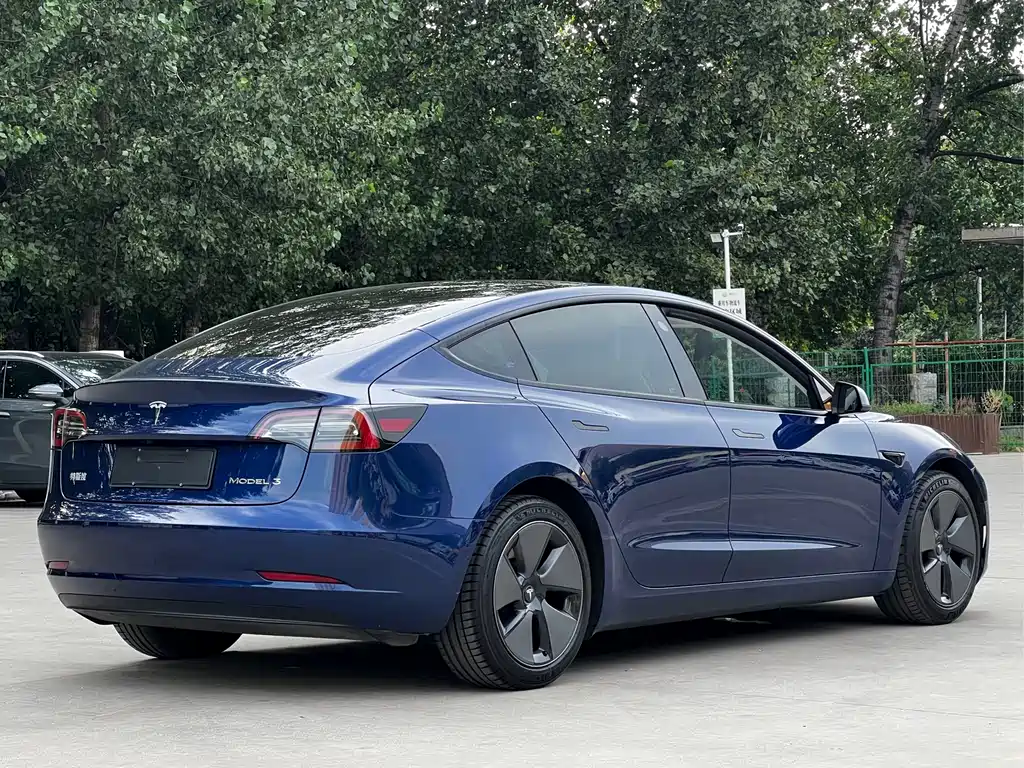 Tesla Model 3 2021