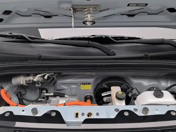 Wuling Hongguang MINIEV 2020