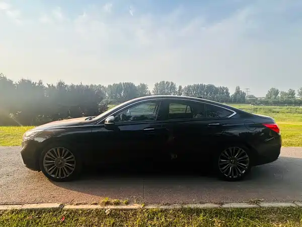 Hongqi H5 2020