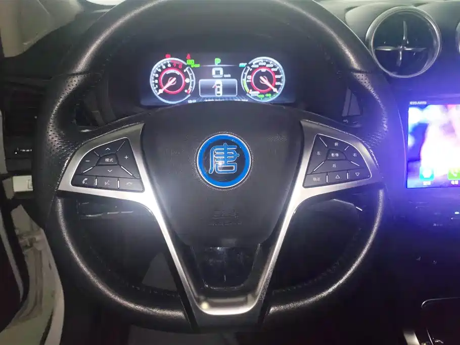BYD Tang New Energy 2017 — фото 14