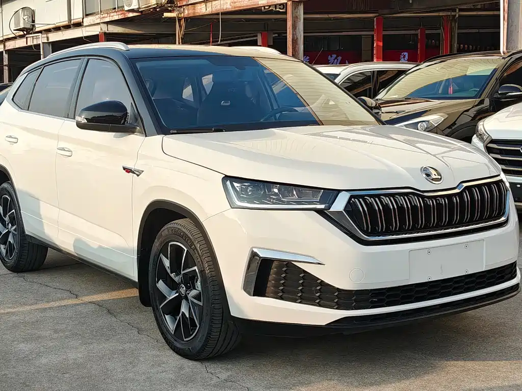 Skoda Kamiq 2022 — фото 20