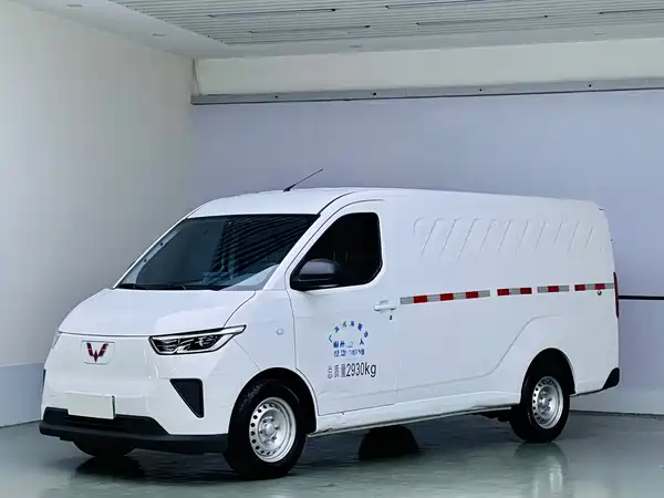 Wuling Yangguang 2024