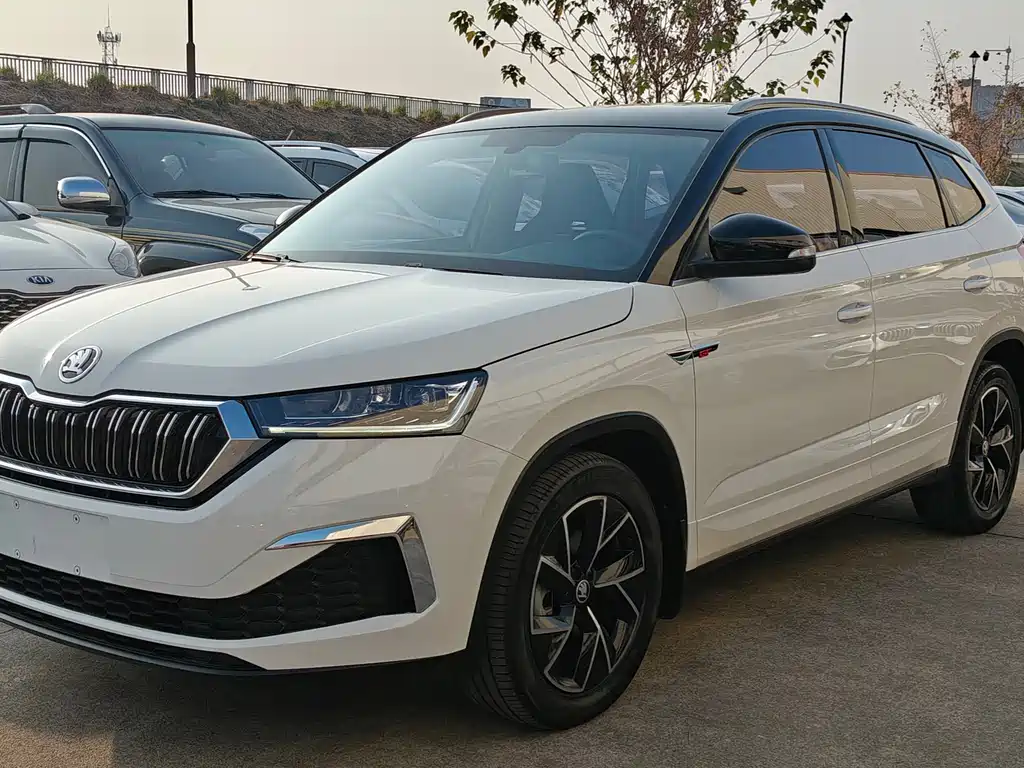 Skoda Kamiq 2022 — фото 18