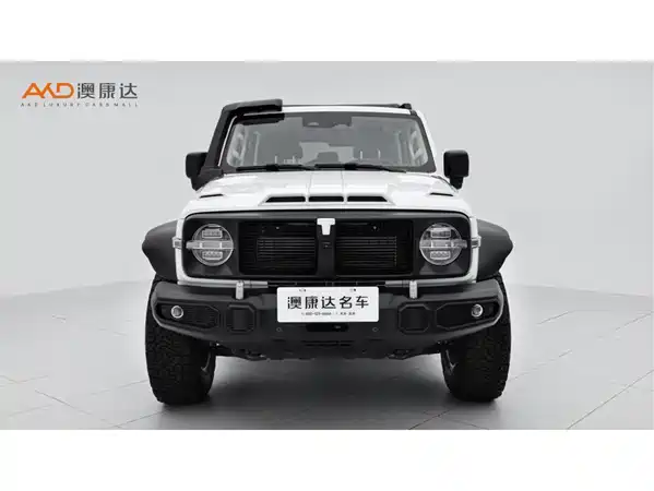 Tank 300 2024