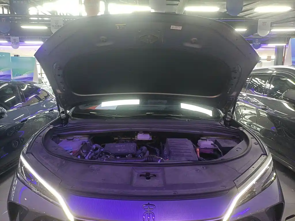 BYD L DM-i 2025 — фото 20