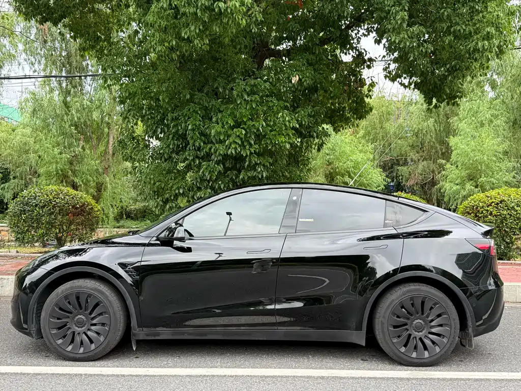 Tesla Model Y 2024 — фото 4