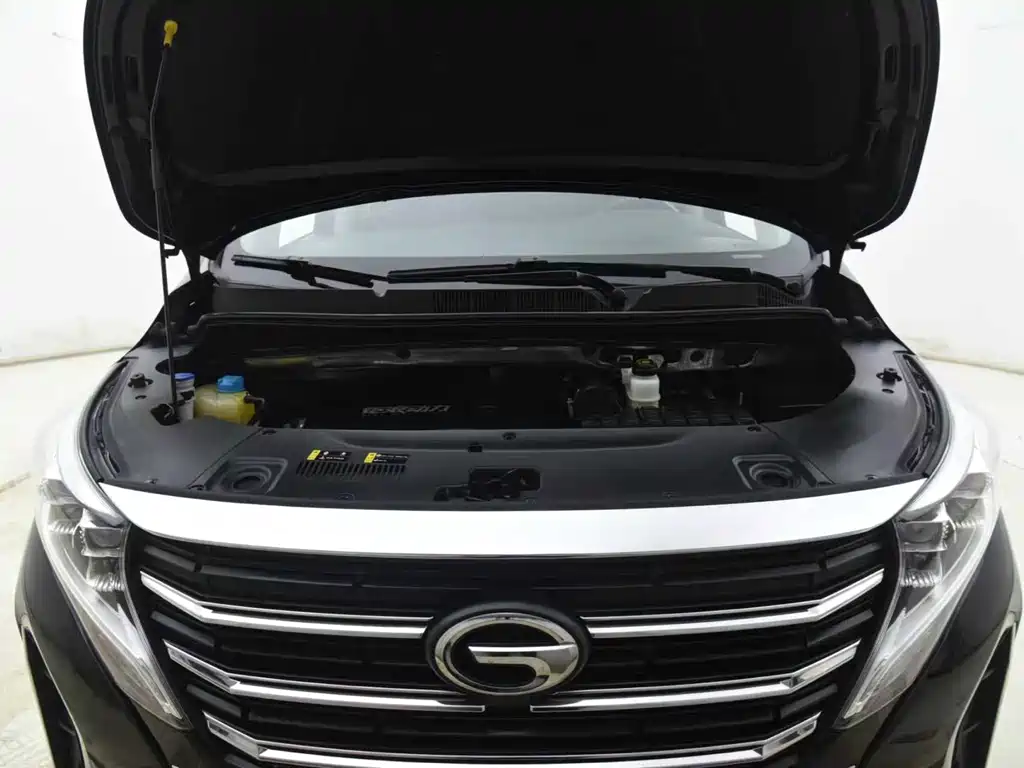 GAC Trumpchi M8 2023 — фото 12