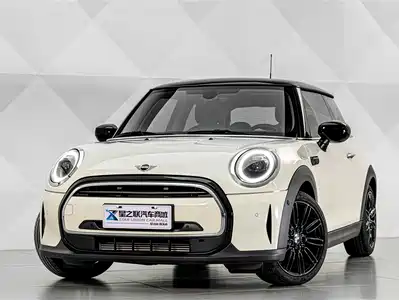 MINI MINI 2021