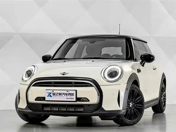 MINI MINI 2021