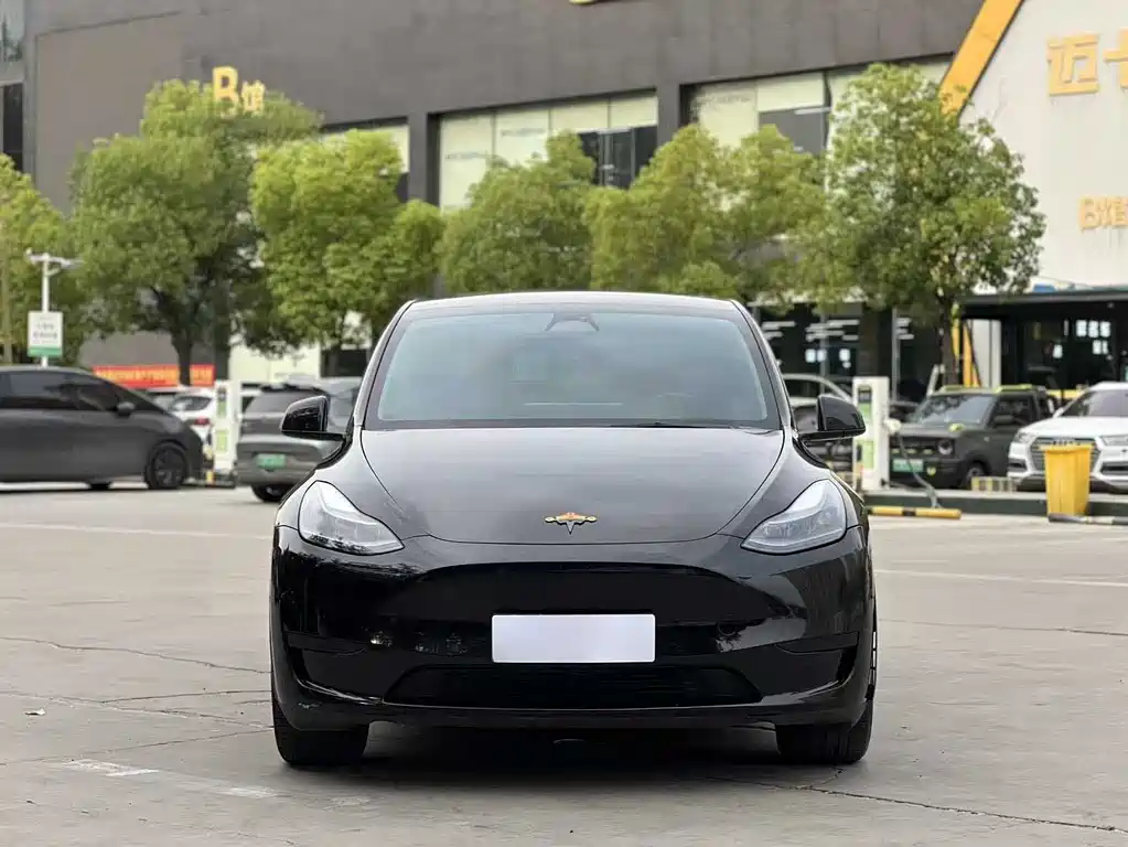 Tesla Model Y 2023 — фото 2