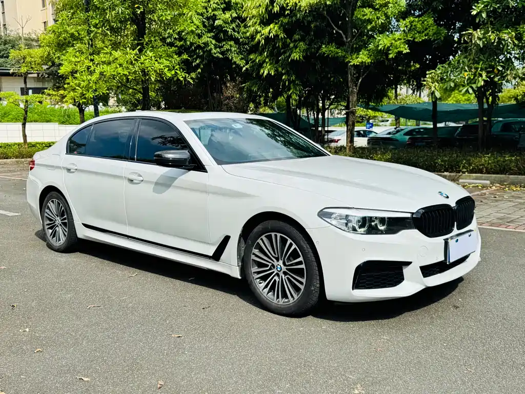 BMW 5 Series 2020 — фото 1