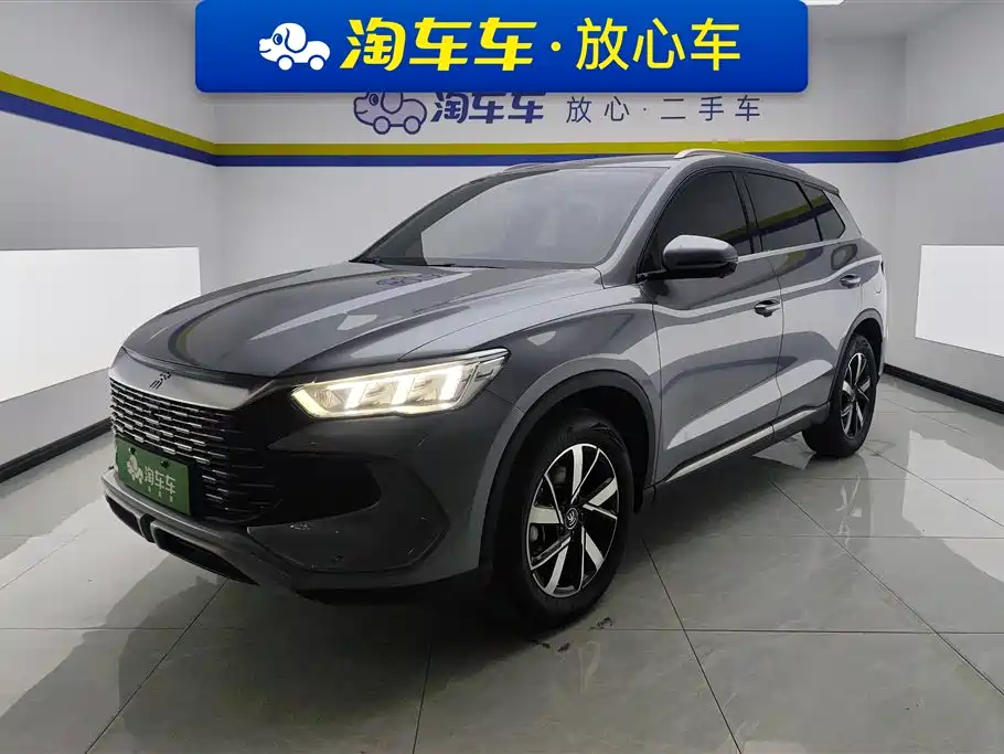 BYD Pro New Energy 2024 — фото 1
