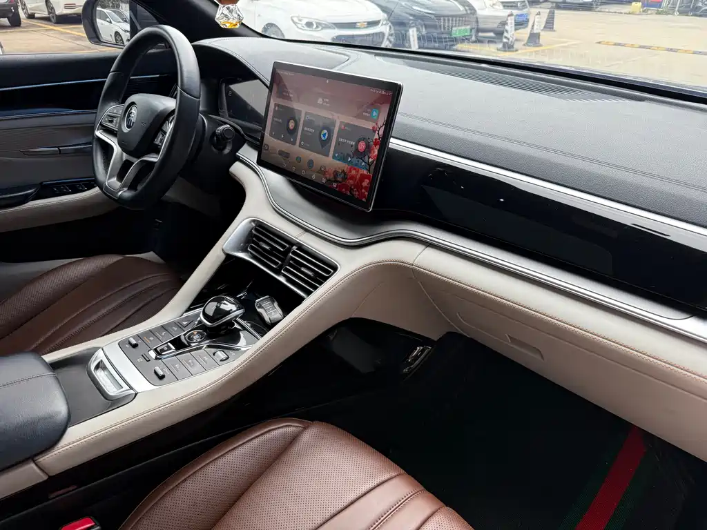 BYD PLUS New Energy 2023 — фото 12
