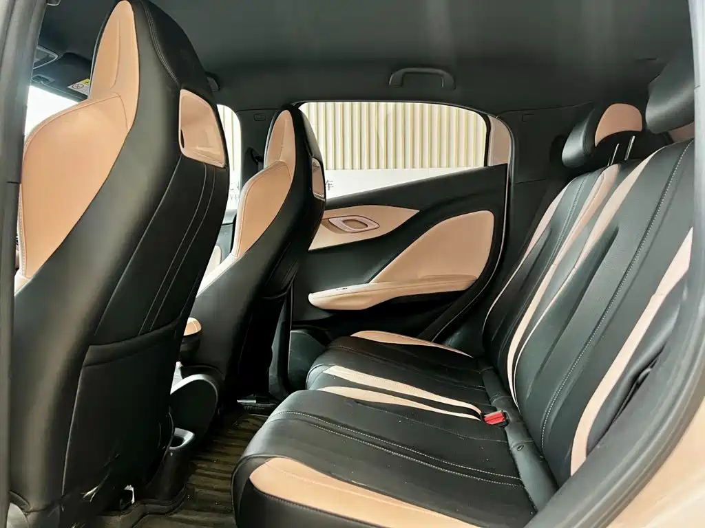 BYD Seagull 2024