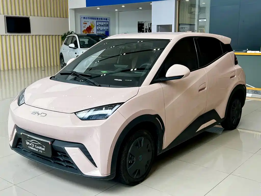 BYD Seagull 2024