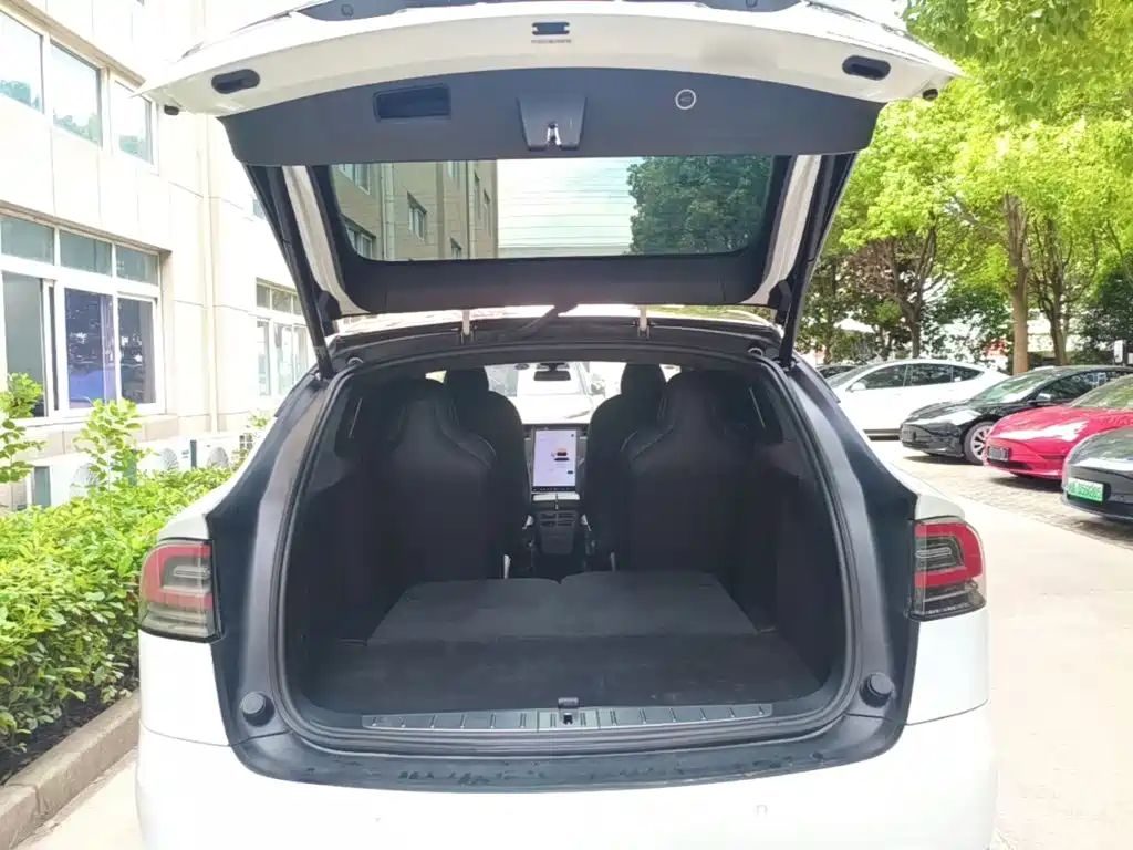 Tesla Model X 2020 — фото 19