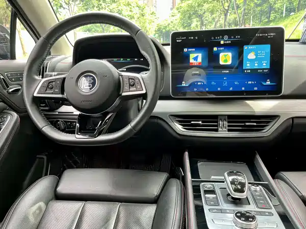 BYD Tang New Energy 2020