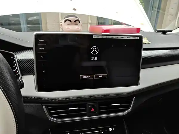 Volkswagen Tanyuex 2024