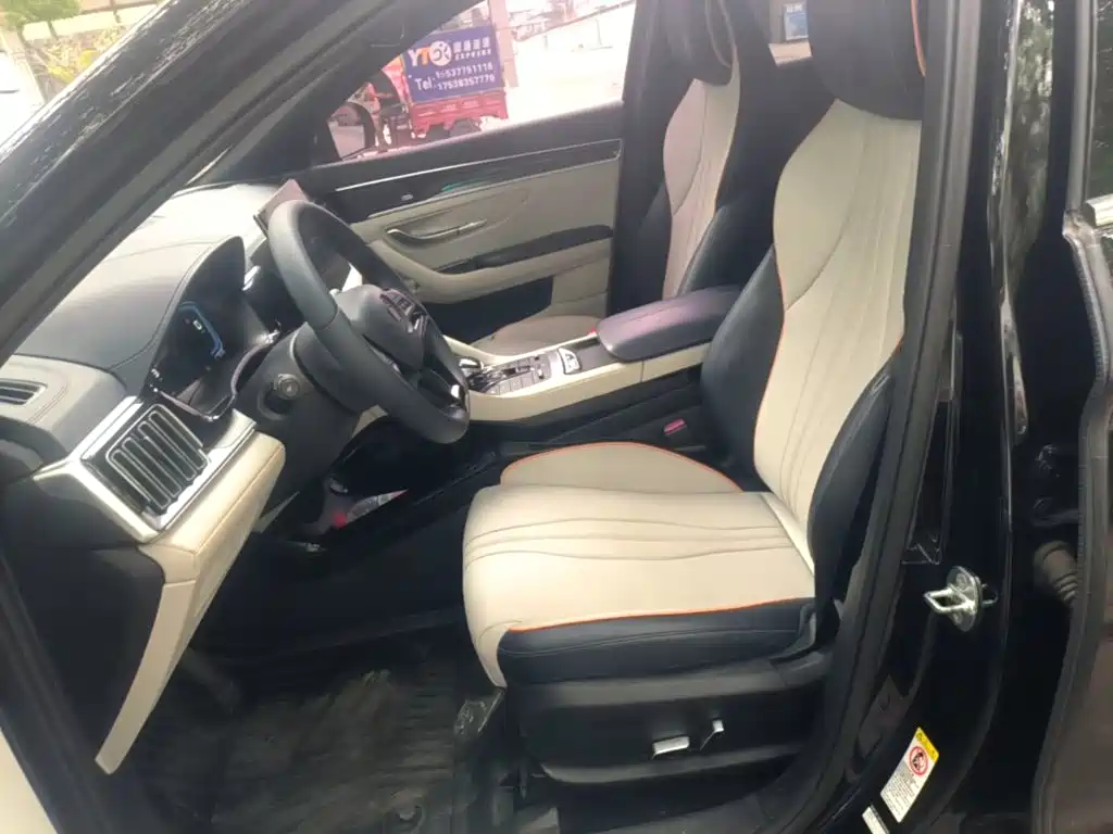 BYD PLUS New Energy 2022 — фото 11