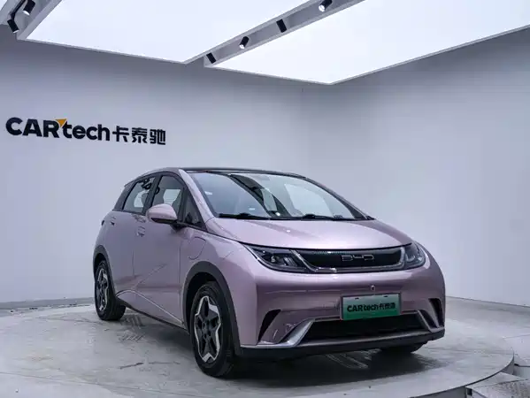 BYD Dolphin 2022