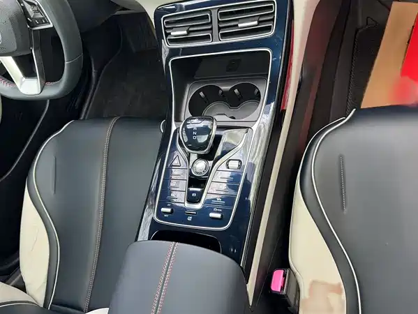 BYD Qin PLUS 2021
