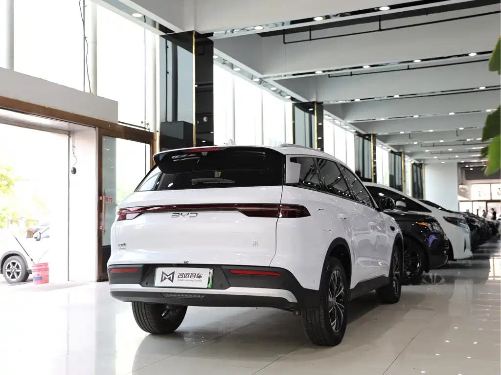BYD Pro New Energy 2025 — фото 16