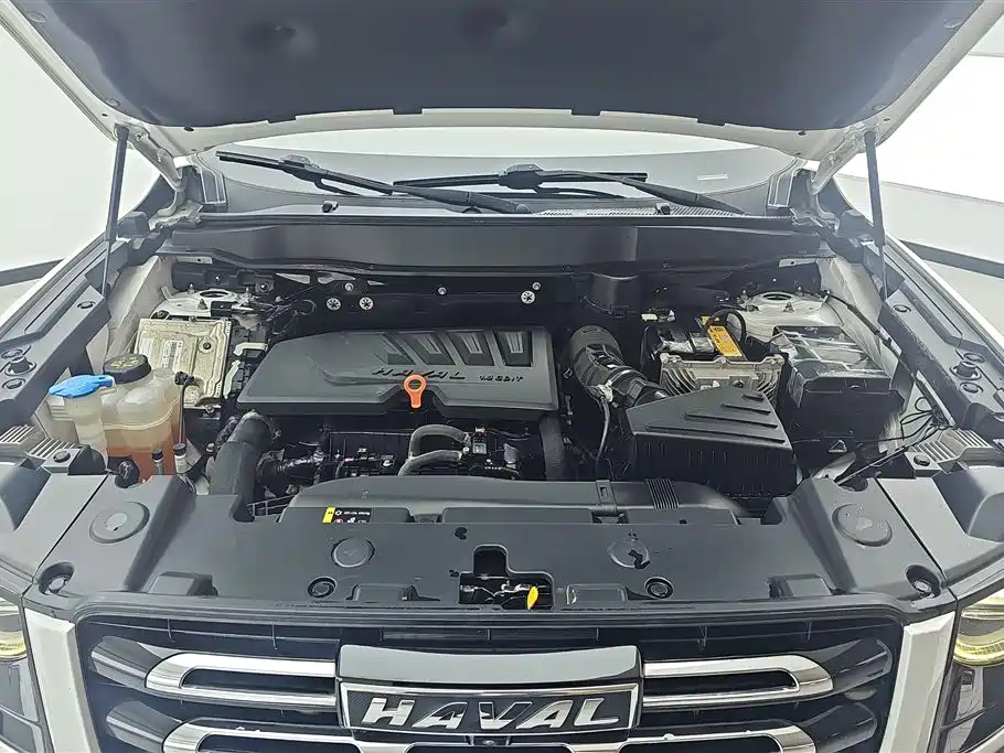 Haval Big Dog 2021 — фото 10