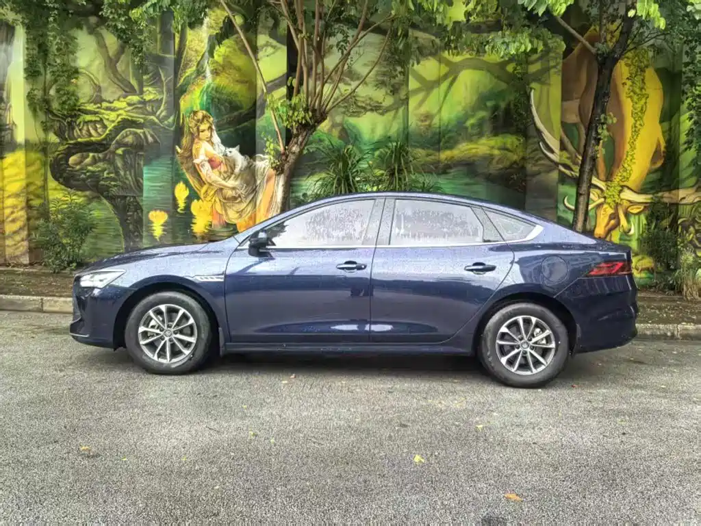 BYD Qin PLUS 2024